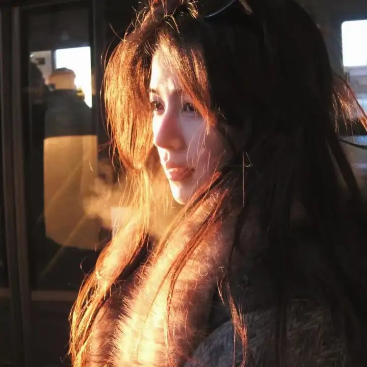 沉香如屑·沉香重华